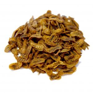 Dried Larvae